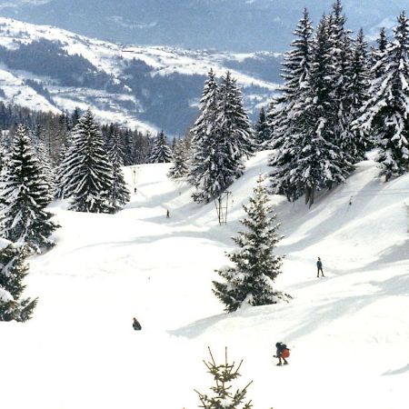 Woodland Village Anzere Ayent 외부 사진